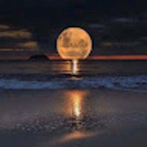 Meet your Posher, Judi